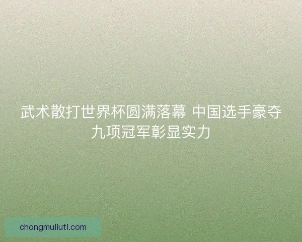 武术散打世界杯圆满落幕 中国选手豪夺九项冠军彰显实力