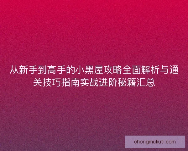 从新手到高手的小黑屋攻略全面解析与通关技巧指南实战进阶秘籍汇总